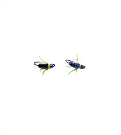 Purple - Backswimmer with Chartreuse legs