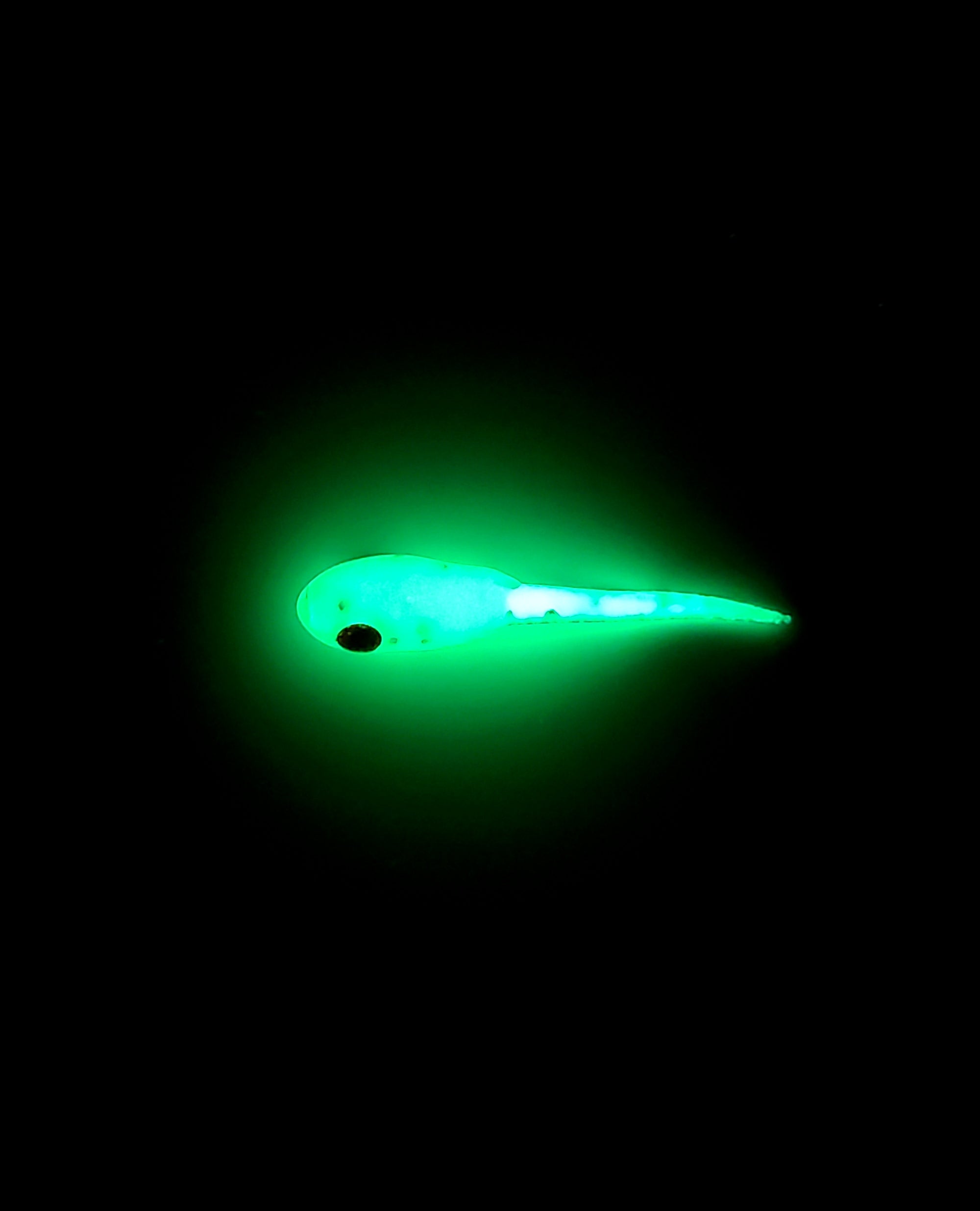 MIGHTY MINNOW SOFT BAIT