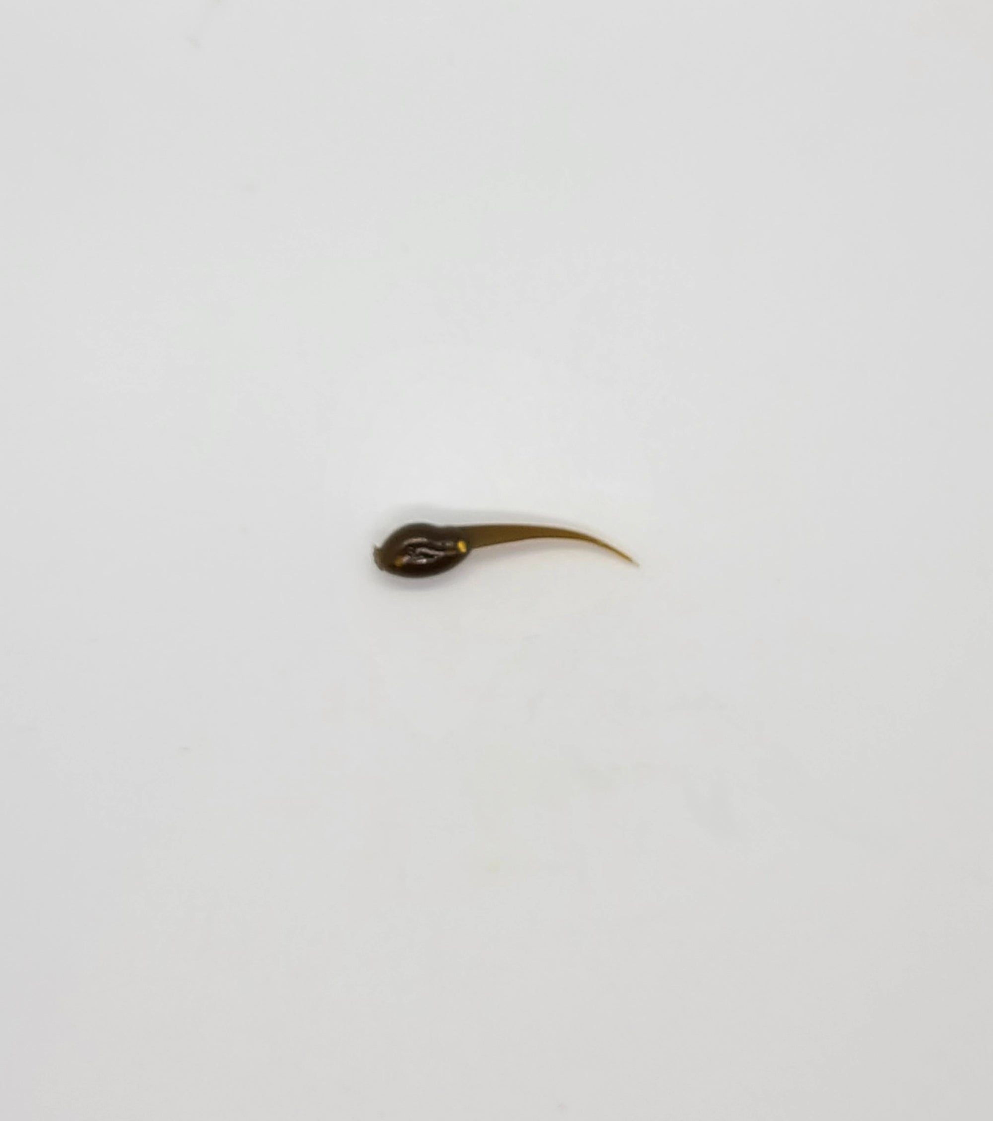 Light Olive-Silver Fleck