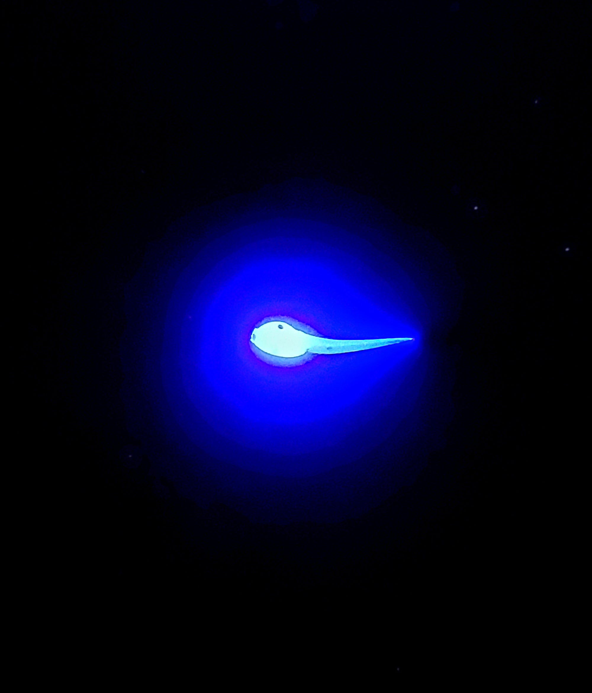 MINI MINNOW SOFT BAIT