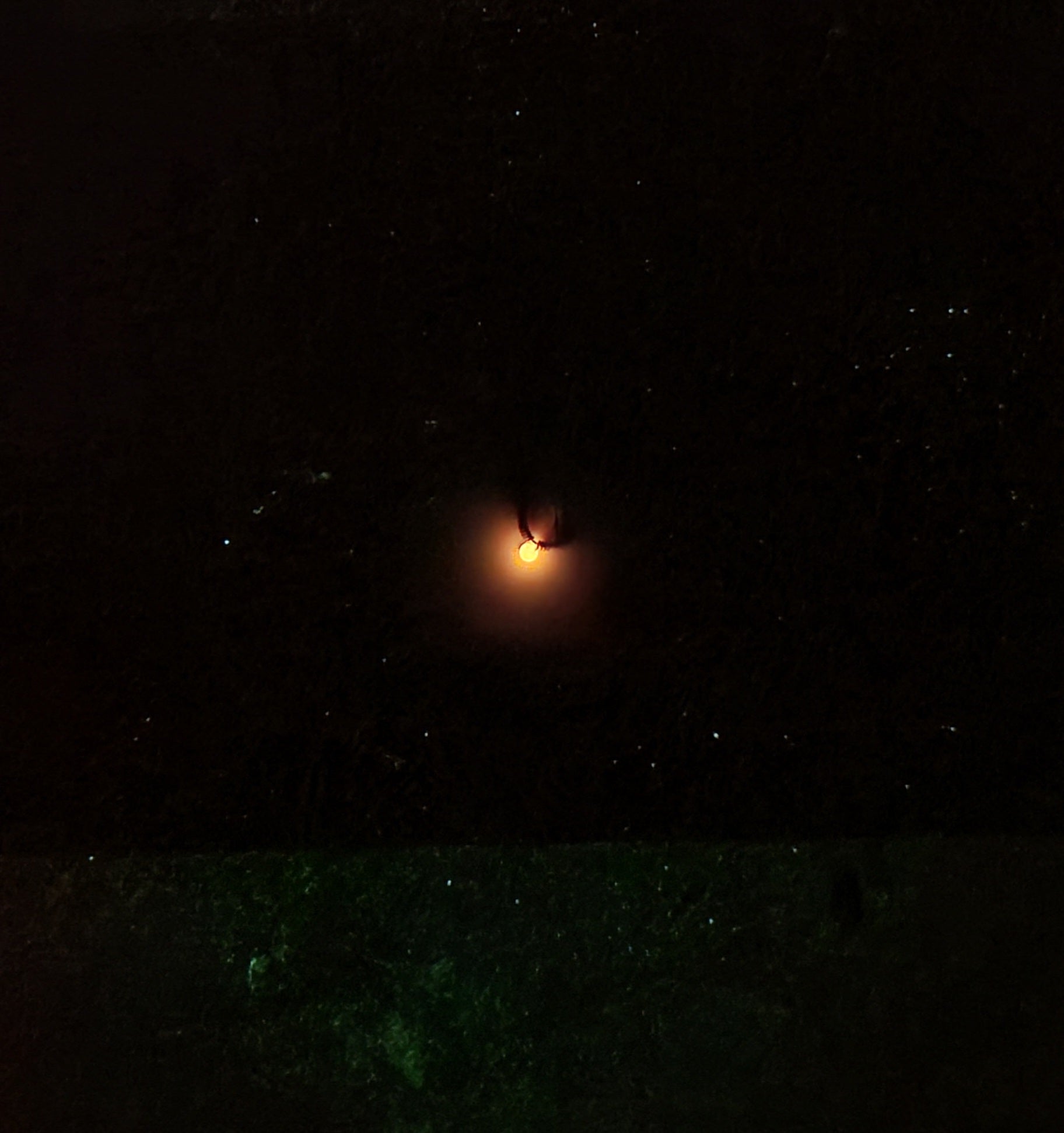 Glow Hot Spot Wire Worm