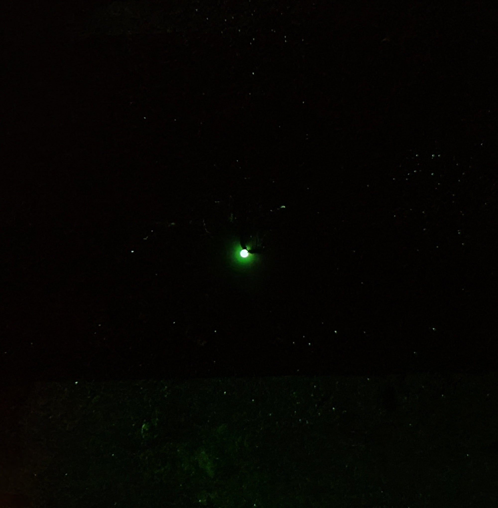 Glow Hot Spot Wire Worm