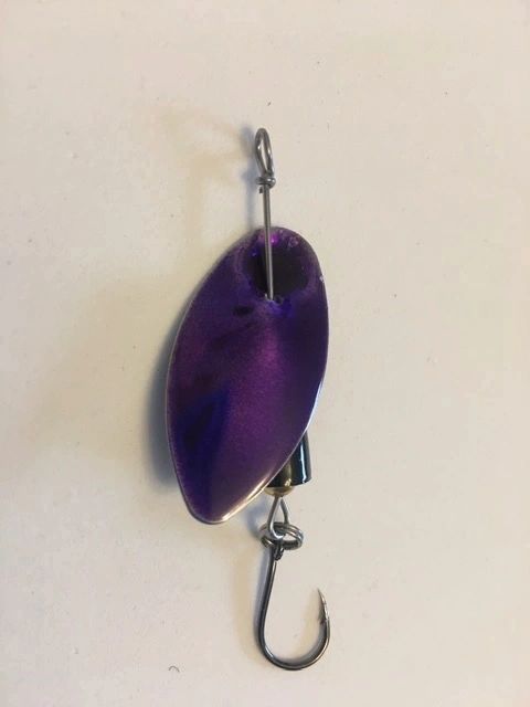 SS05 - TRANSPARENT SOLID